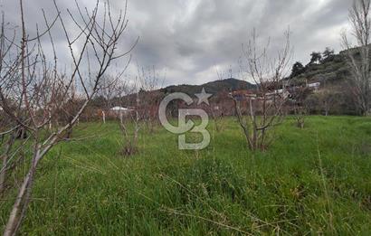 KEMALPAŞA BAĞYURDU'DA SATILIK KAYISI BAHÇESİ