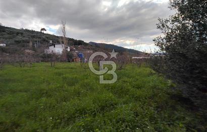 KEMALPAŞA BAĞYURDU'DA SATILIK KAYISI BAHÇESİ