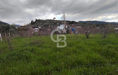 KEMALPAŞA BAĞYURDU'DA SATILIK KAYISI BAHÇESİ