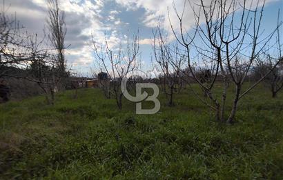 KEMALPAŞA BAĞYURDU'DA SATILIK KAYISI BAHÇESİ