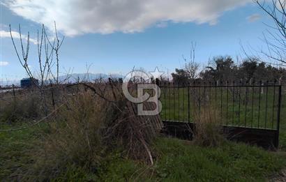 KEMALPAŞA BAĞYURDU'DA SATILIK KAYISI BAHÇESİ