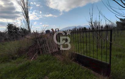 KEMALPAŞA BAĞYURDU'DA SATILIK KAYISI BAHÇESİ