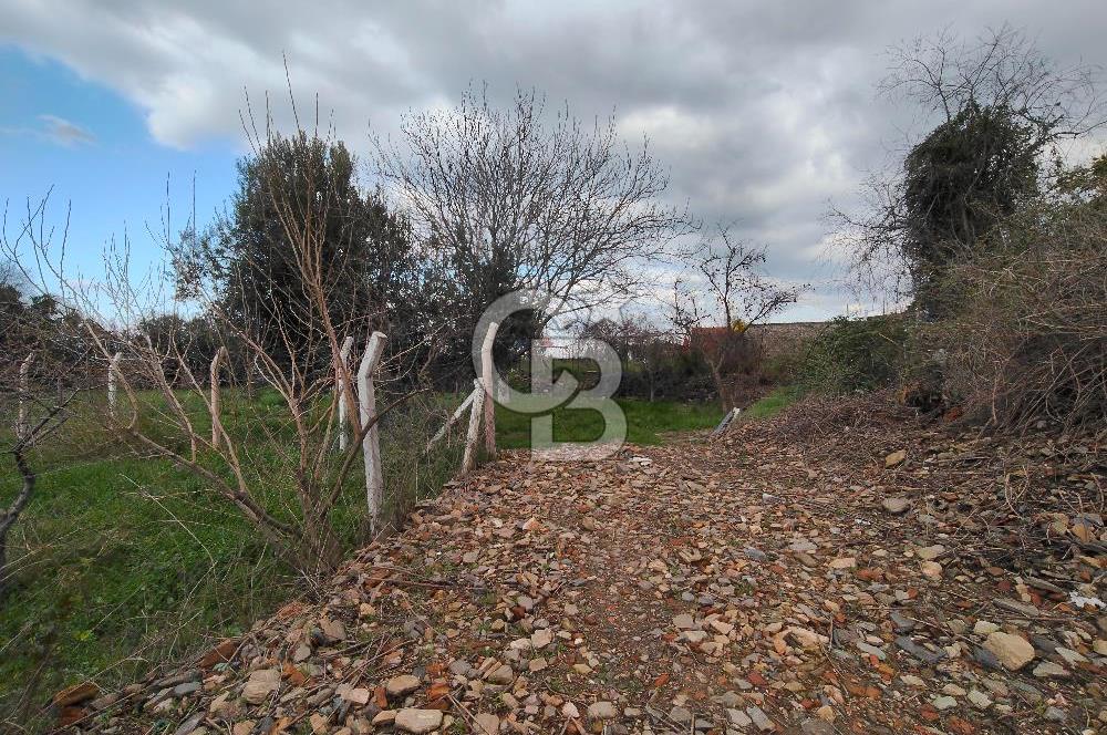 KEMALPAŞA BAĞYURDU'DA SATILIK KAYISI BAHÇESİ