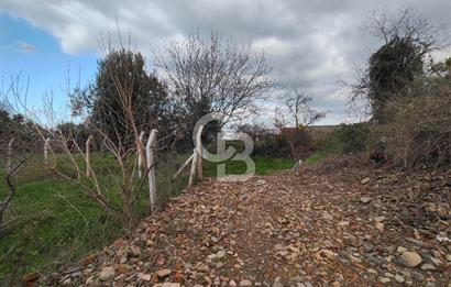 KEMALPAŞA BAĞYURDU'DA SATILIK KAYISI BAHÇESİ