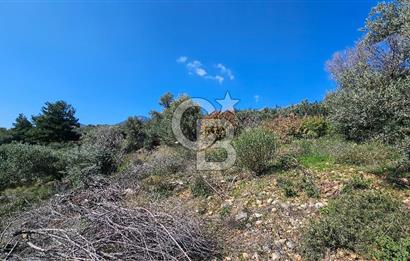 İzmir Kemalpaşa Vişneli Köyü Bitişiğinde 17.974 m2 Satılık Tarla