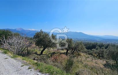 İzmir Kemalpaşa Vişneli Köyü Bitişiğinde 17.974 m2 Satılık Tarla