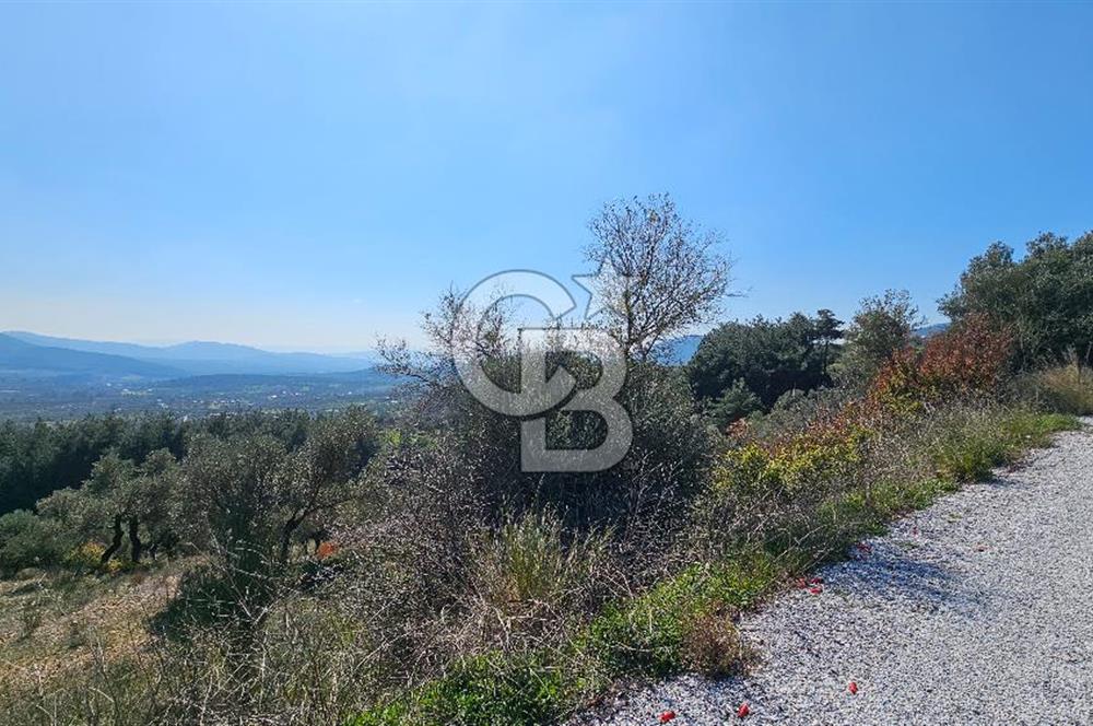 İzmir Kemalpaşa Vişneli Köyü Bitişiğinde 17.974 m2 Satılık Tarla