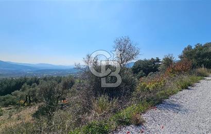 İzmir Kemalpaşa Vişneli Köyü Bitişiğinde 17.974 m2 Satılık Tarla