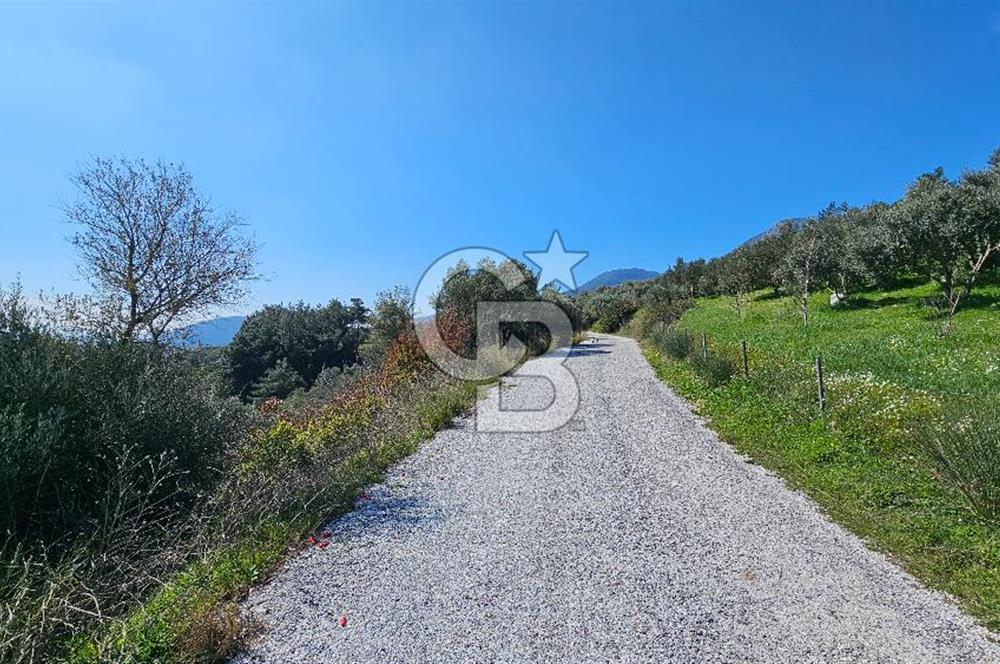 İzmir Kemalpaşa Vişneli Köyü Bitişiğinde 17.974 m2 Satılık Tarla