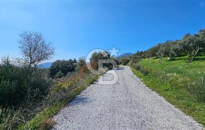 İzmir Kemalpaşa Vişneli Köyü Bitişiğinde 17.974 m2 Satılık Tarla