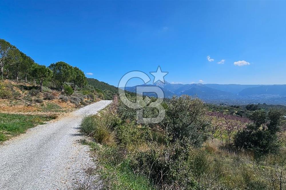 İzmir Kemalpaşa Vişneli Köyü Bitişiğinde 17.974 m2 Satılık Tarla