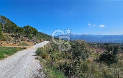 İzmir Kemalpaşa Vişneli Köyü Bitişiğinde 17.974 m2 Satılık Tarla