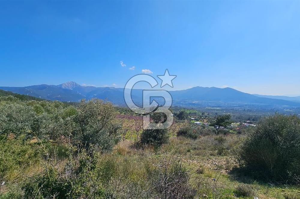 İzmir Kemalpaşa Vişneli Köyü Bitişiğinde 17.974 m2 Satılık Tarla