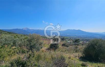 İzmir Kemalpaşa Vişneli Köyü Bitişiğinde 17.974 m2 Satılık Tarla