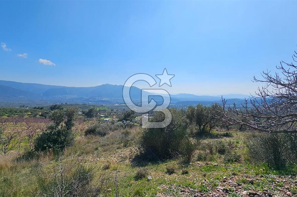 İzmir Kemalpaşa Vişneli Köyü Bitişiğinde 17.974 m2 Satılık Tarla