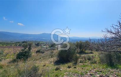 İzmir Kemalpaşa Vişneli Köyü Bitişiğinde 17.974 m2 Satılık Tarla