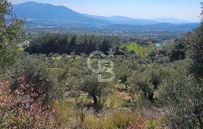 İzmir Kemalpaşa Vişneli Köyü Bitişiğinde 17.974 m2 Satılık Tarla