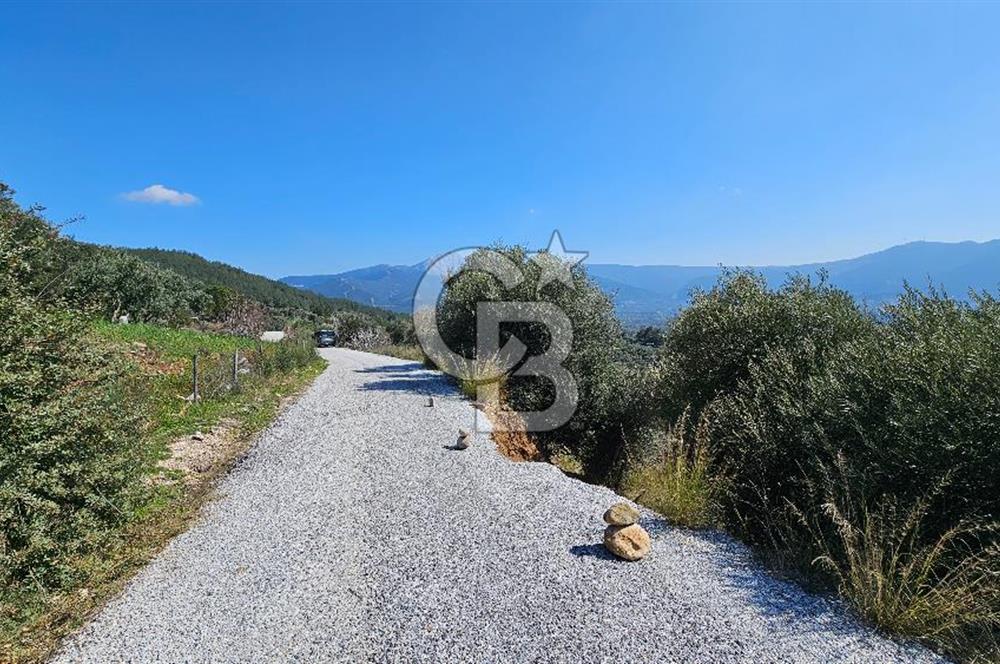 İzmir Kemalpaşa Vişneli Köyü Bitişiğinde 17.974 m2 Satılık Tarla