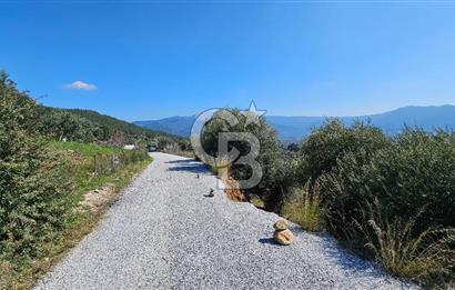 İzmir Kemalpaşa Vişneli Köyü Bitişiğinde 17.974 m2 Satılık Tarla