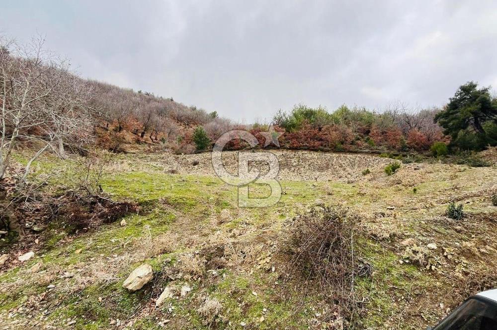 TURGUTLU HACIİSALAR'DA SATILIK ARSA