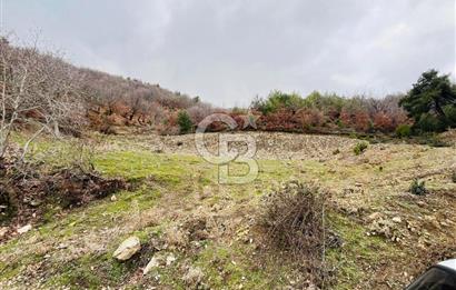 TURGUTLU HACIİSALAR'DA SATILIK ARSA