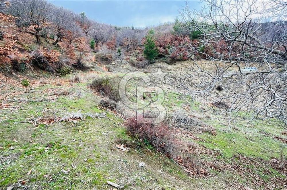 TURGUTLU HACIİSALAR'DA SATILIK ARSA