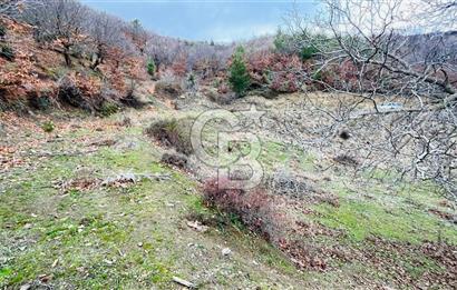 TURGUTLU HACIİSALAR'DA SATILIK ARSA