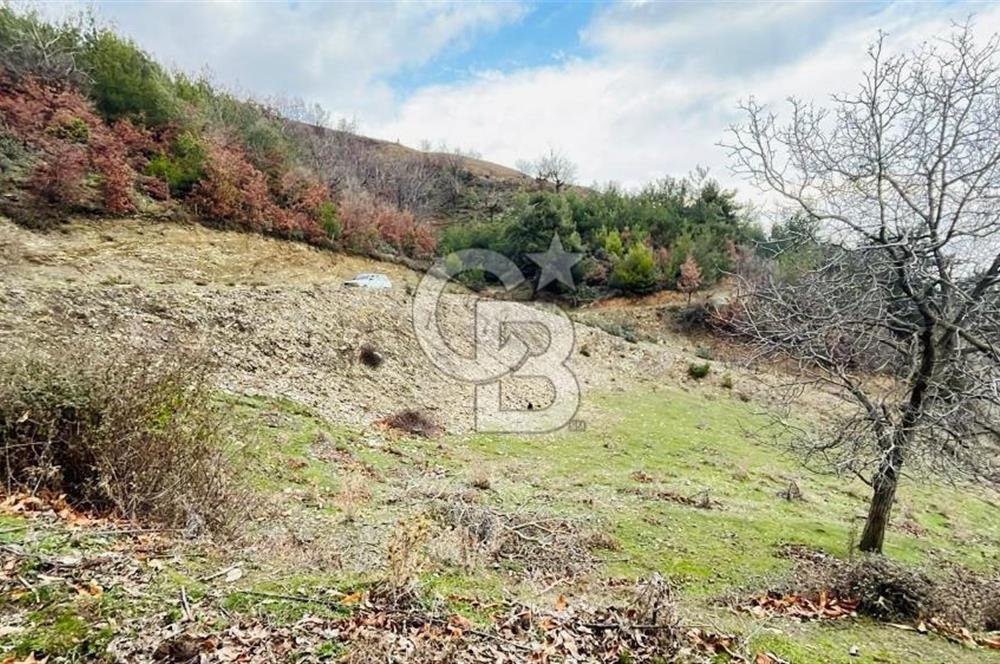 TURGUTLU HACIİSALAR'DA SATILIK ARSA