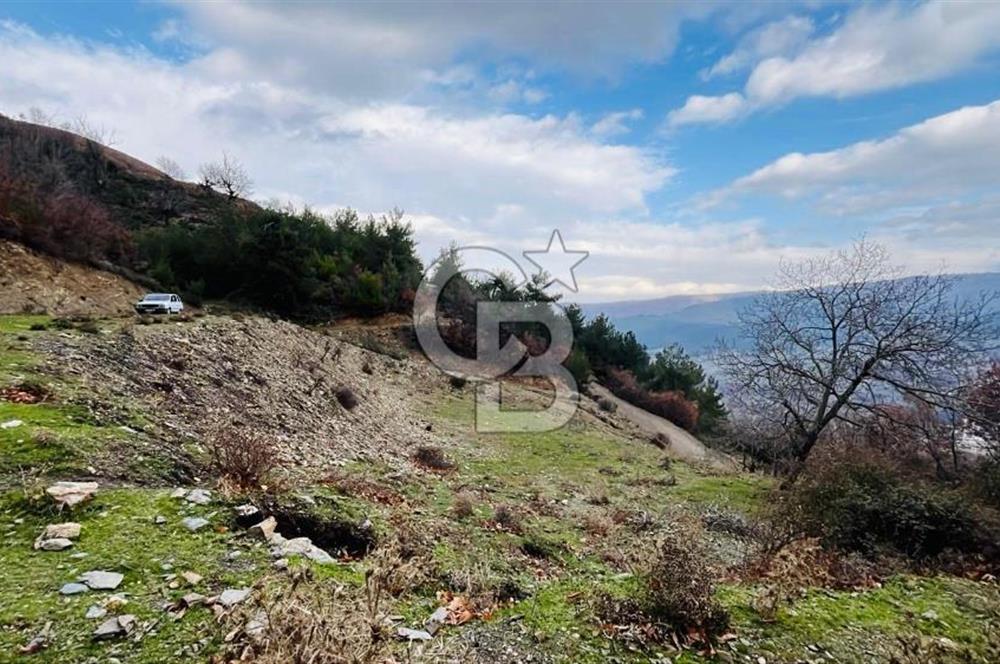 TURGUTLU HACIİSALAR'DA SATILIK ARSA