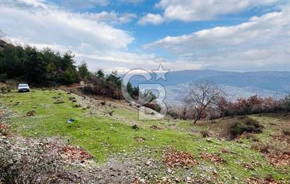 TURGUTLU HACIİSALAR'DA SATILIK ARSA