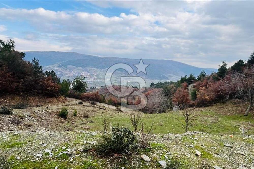 TURGUTLU HACIİSALAR'DA SATILIK ARSA