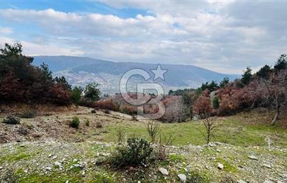 TURGUTLU HACIİSALAR'DA SATILIK ARSA