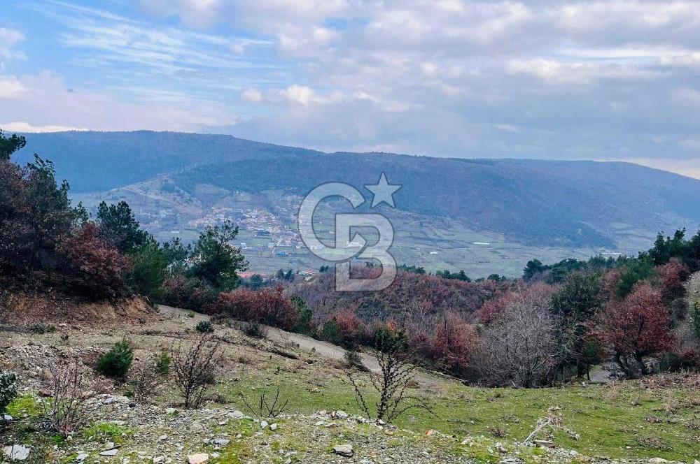 TURGUTLU HACIİSALAR'DA SATILIK ARSA