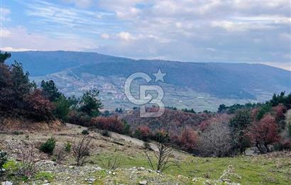 TURGUTLU HACIİSALAR'DA SATILIK ARSA