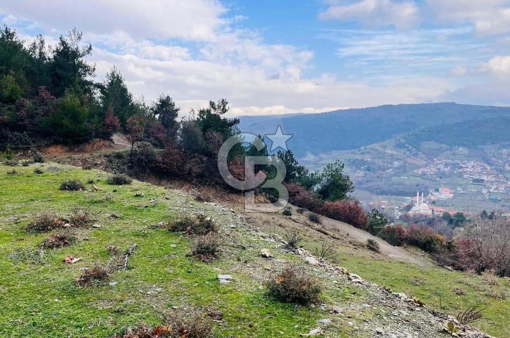 TURGUTLU HACIİSALAR'DA SATILIK ARSA