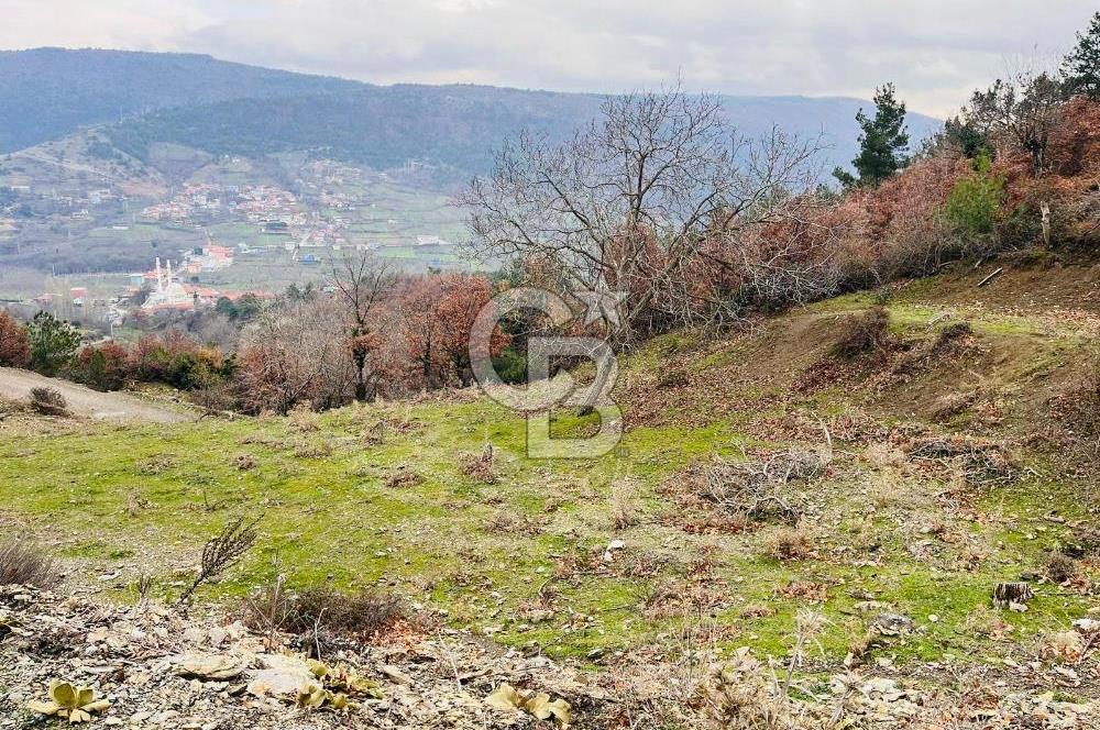 TURGUTLU HACIİSALAR'DA SATILIK ARSA