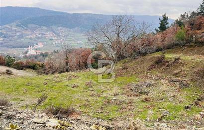 TURGUTLU HACIİSALAR'DA SATILIK ARSA