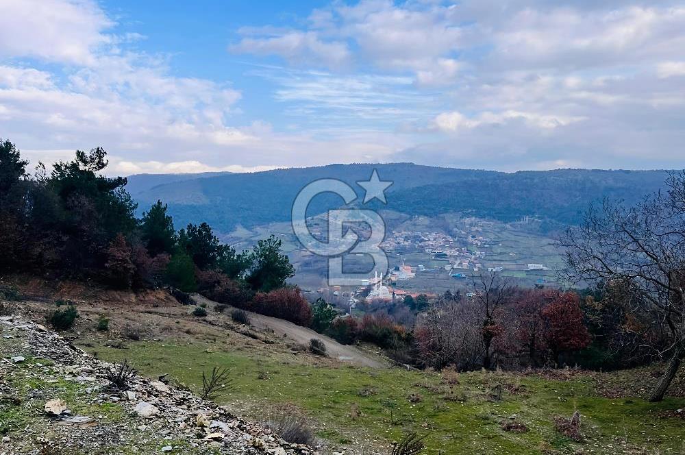 TURGUTLU HACIİSALAR'DA SATILIK ARSA