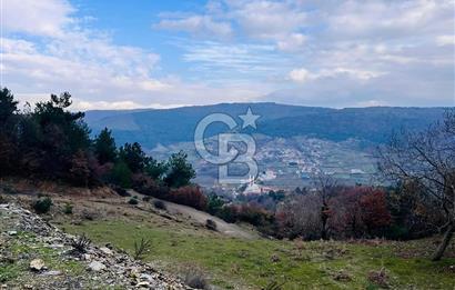 TURGUTLU HACIİSALAR'DA SATILIK ARSA