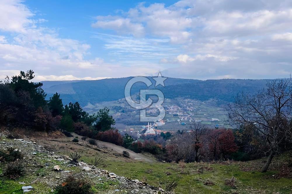 TURGUTLU HACIİSALAR'DA SATILIK ARSA