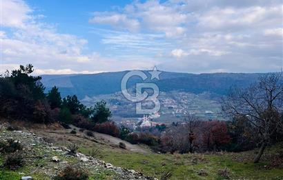 TURGUTLU HACIİSALAR'DA SATILIK ARSA