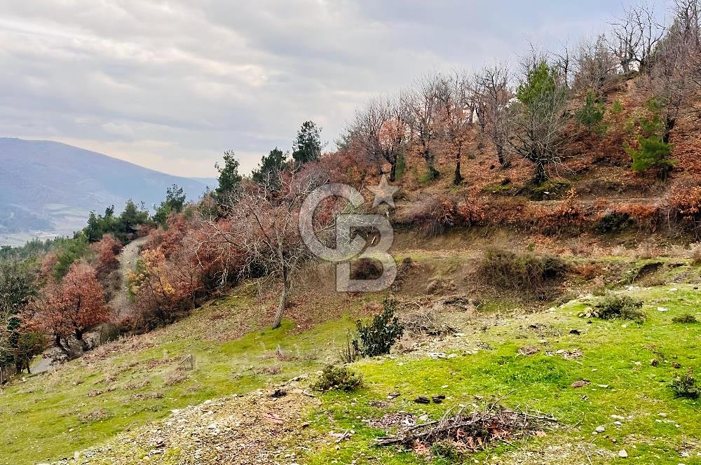 TURGUTLU HACIİSALAR'DA SATILIK ARSA