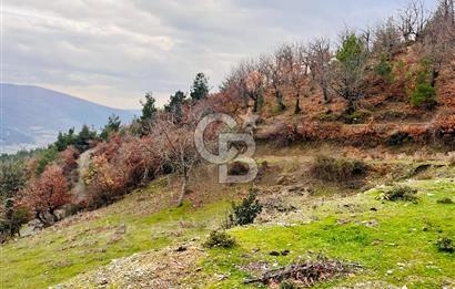 TURGUTLU HACIİSALAR'DA SATILIK ARSA