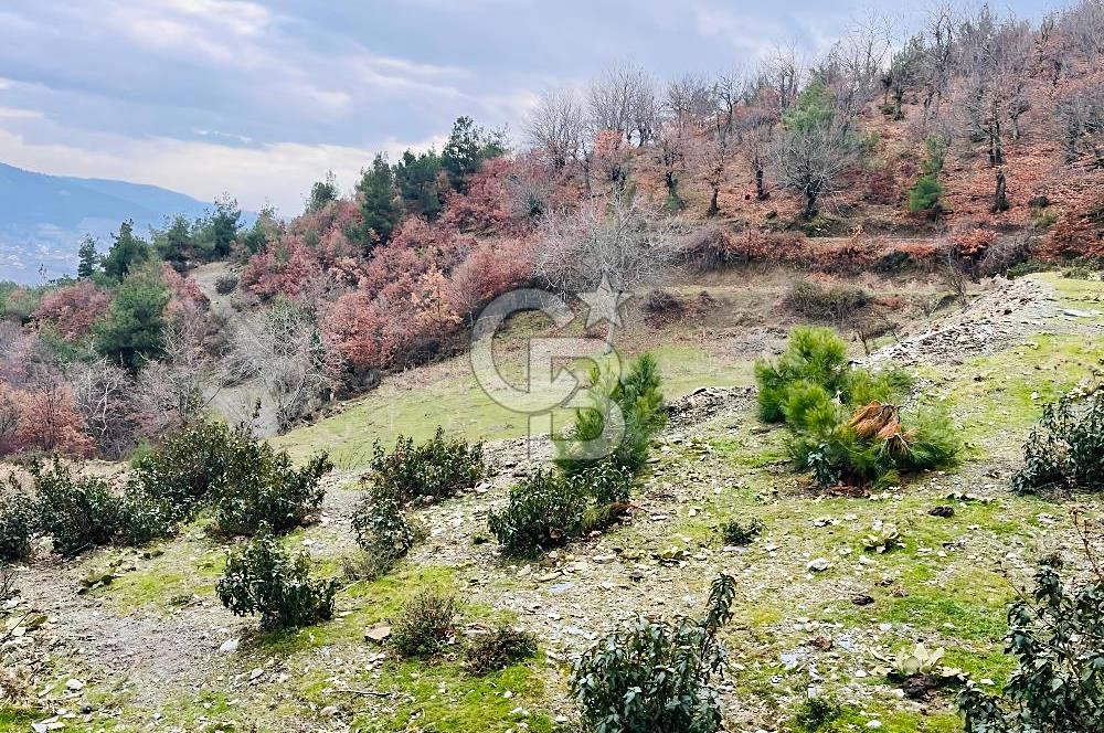 TURGUTLU HACIİSALAR'DA SATILIK ARSA