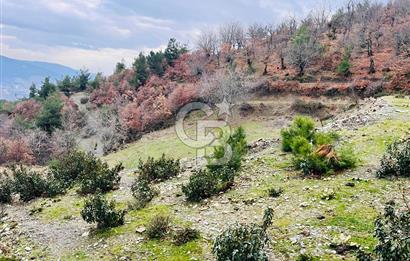 TURGUTLU HACIİSALAR'DA SATILIK ARSA