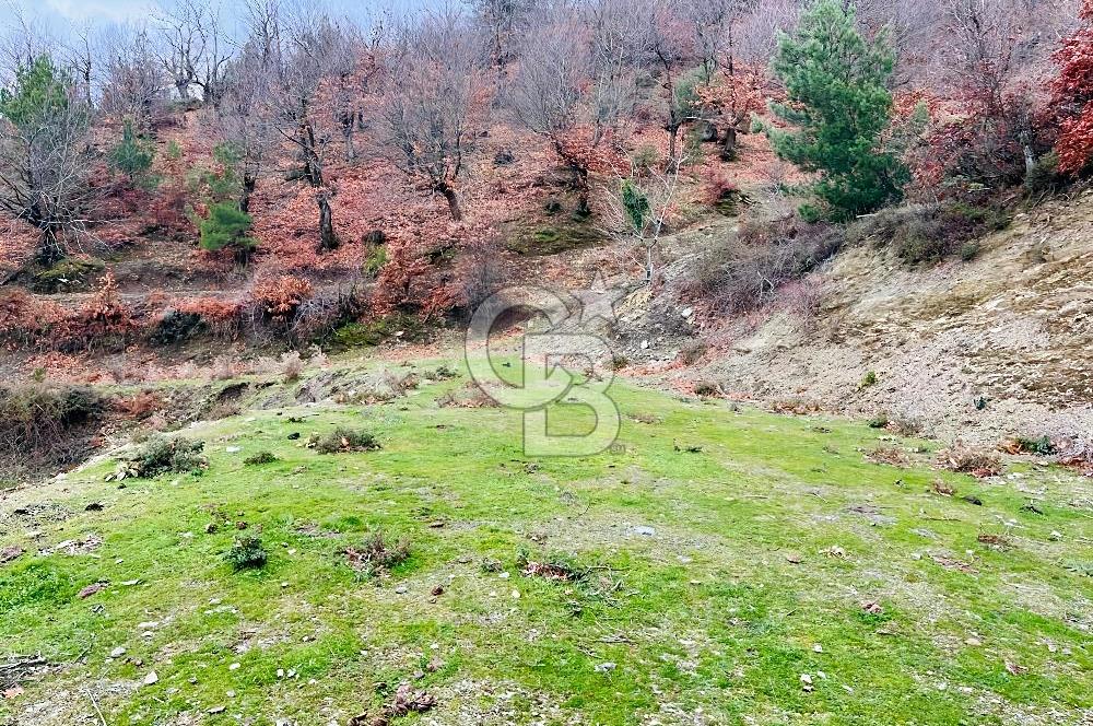 TURGUTLU HACIİSALAR'DA SATILIK ARSA