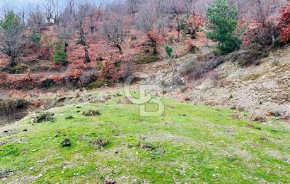 TURGUTLU HACIİSALAR'DA SATILIK ARSA