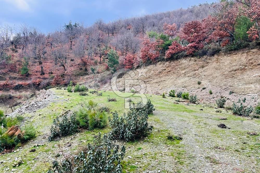 TURGUTLU HACIİSALAR'DA SATILIK ARSA