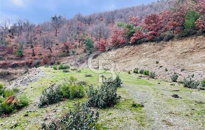 TURGUTLU HACIİSALAR'DA SATILIK ARSA