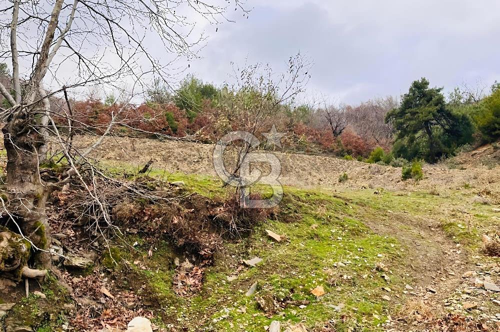 TURGUTLU HACIİSALAR'DA SATILIK ARSA